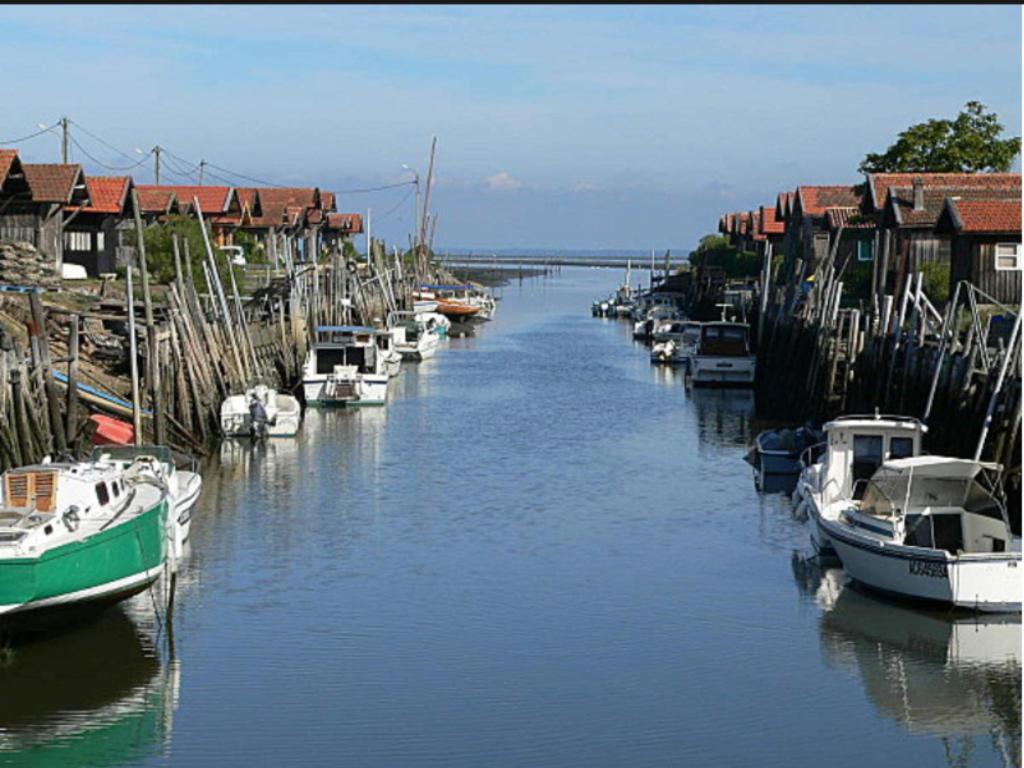 Les Lodges du Bassin d'Arcachon: Luxe Guesthouse with Gourmet Breakfast Gujan-Mestras Exterior photo