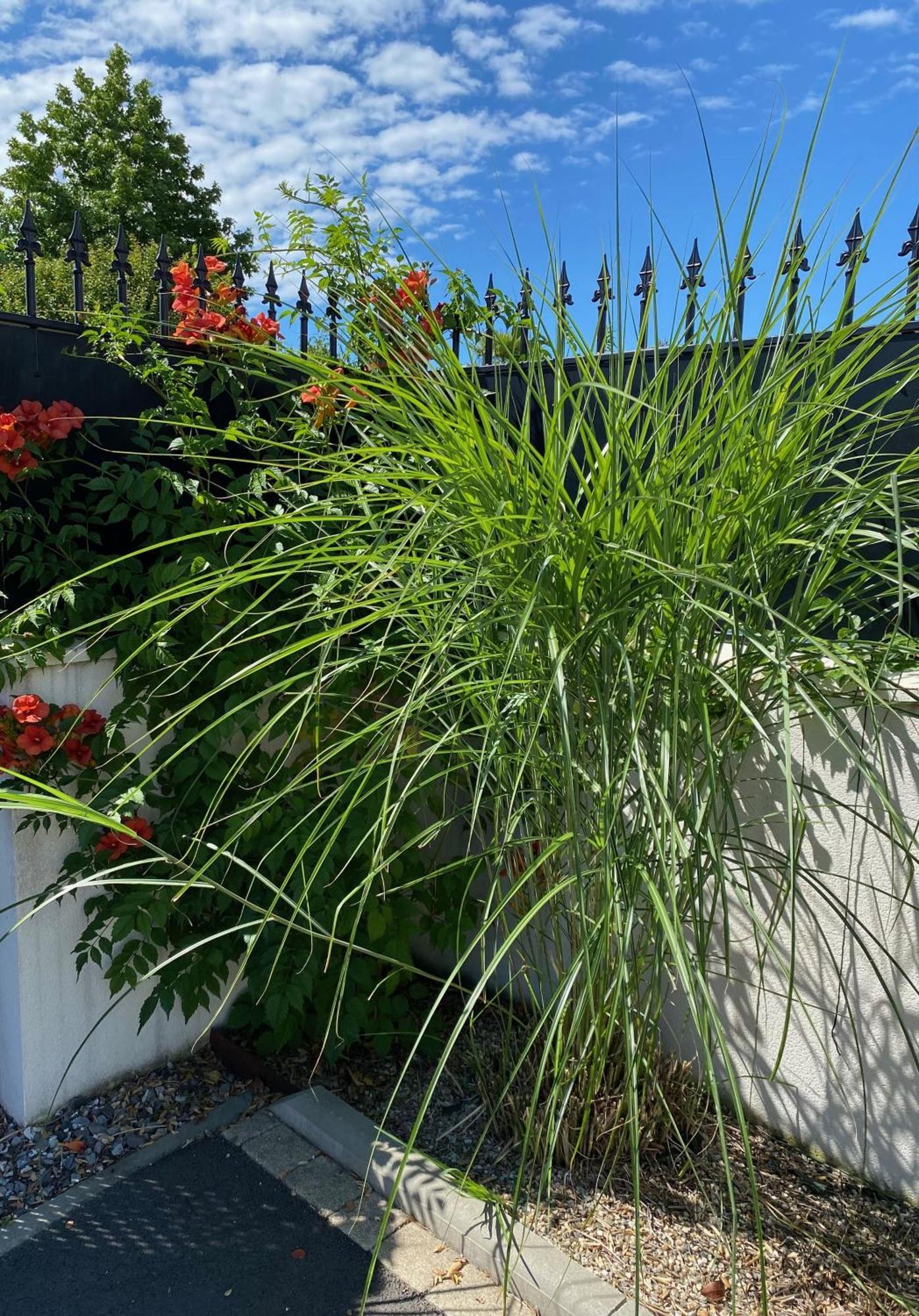 Les Lodges du Bassin d'Arcachon: Luxe Guesthouse with Gourmet Breakfast Gujan-Mestras Exterior photo