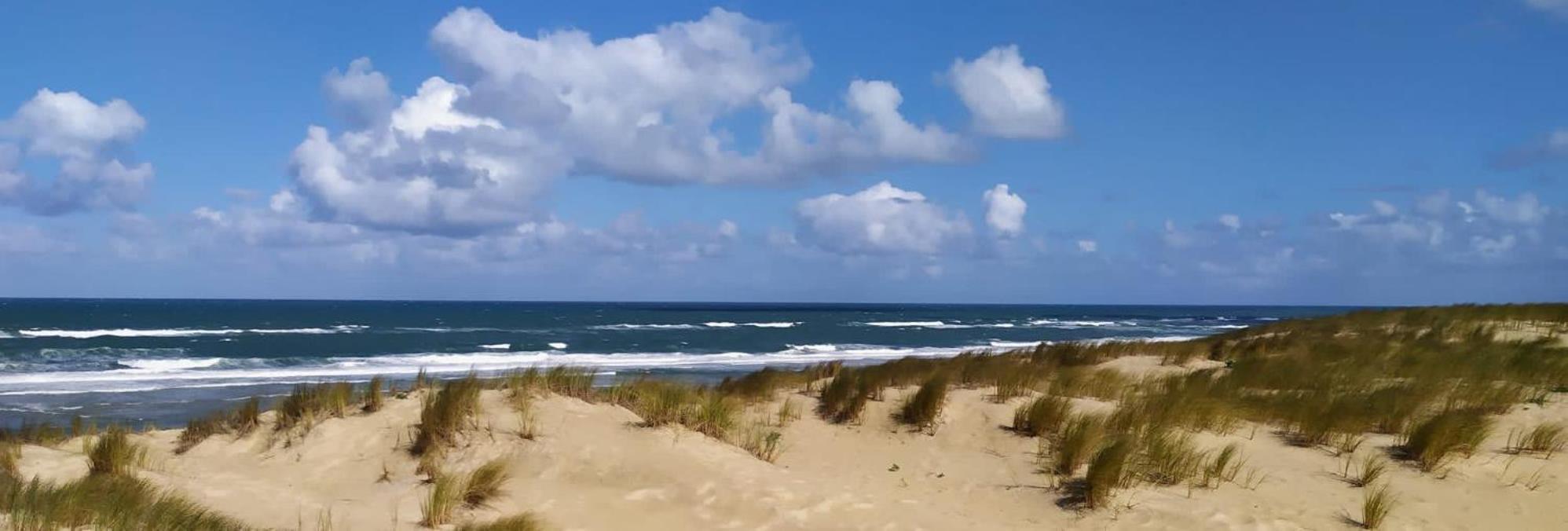 Les Lodges du Bassin d'Arcachon: Luxe Guesthouse with Gourmet Breakfast Gujan-Mestras Exterior photo
